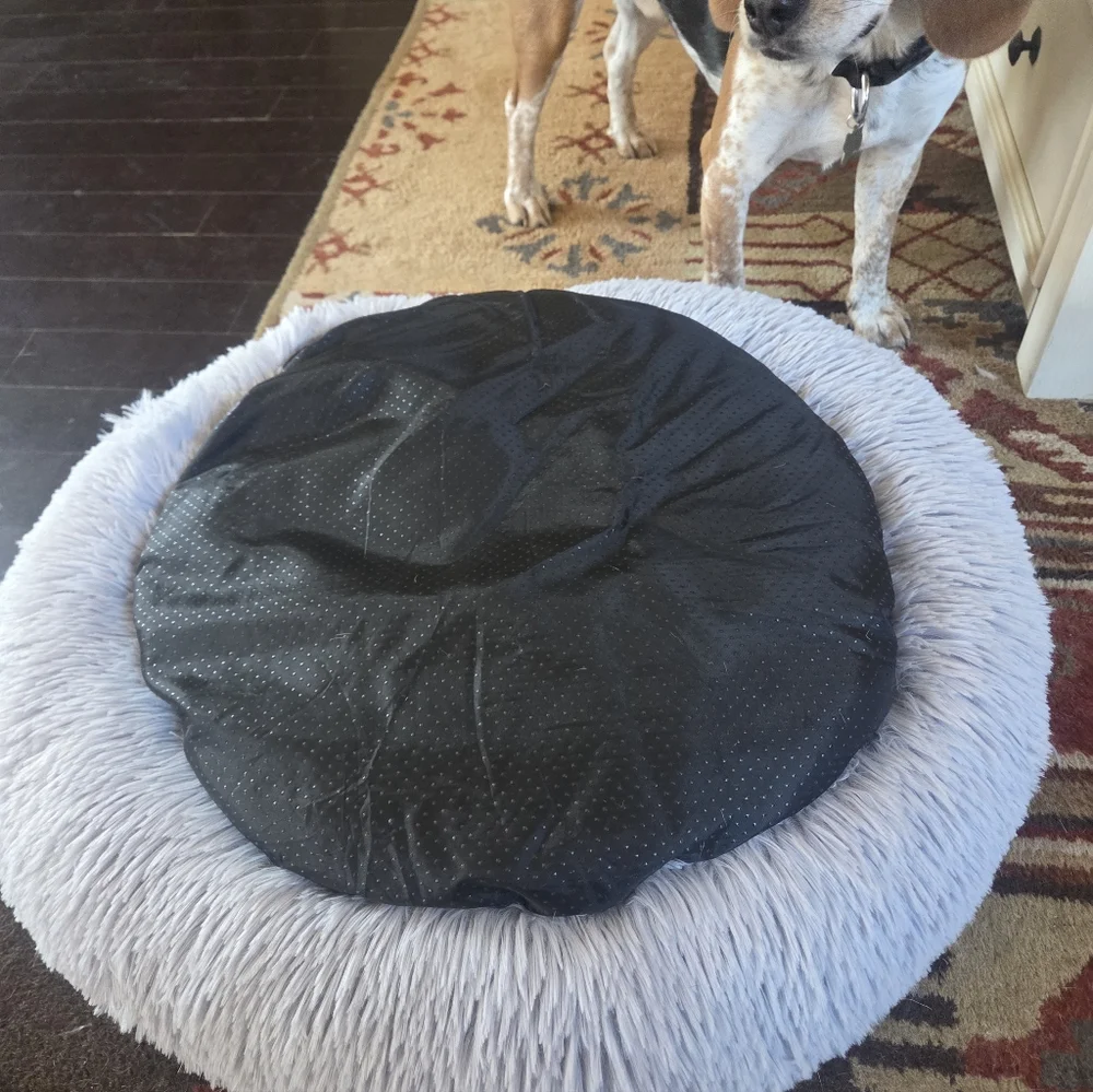 Dog Bed